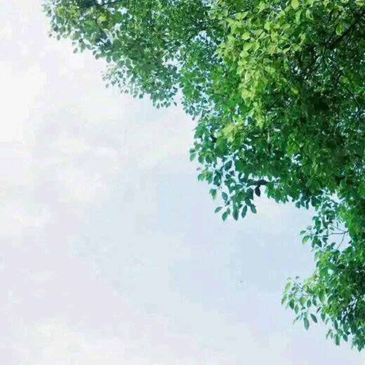 深水元基（饰 未知角色） - 4K超清影视在线观看 - 在线播放